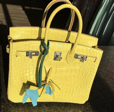 what does a hermes birkin bag look like|hermes birkin inspired bag.